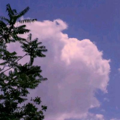 英雄的黎明手游破解版下载